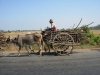 downloaded_95_173.jpg